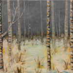 Birch Forest in Winter